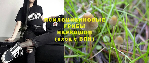мет Белокуриха