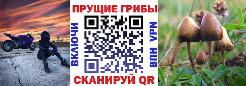 Галлюциногенные грибы ЛСД  Кузнецк 