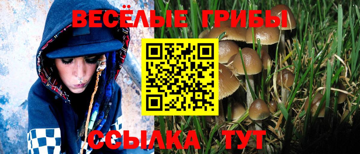 Псилоцибиновые грибы прущие грибы  Вход с VPN  Кузнецк 