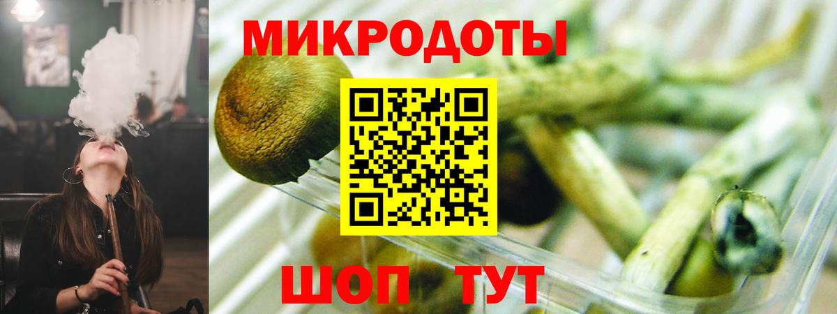 Псилоцибиновые грибы Cubensis Кузнецк
